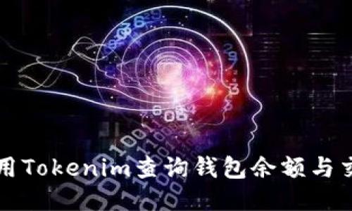 如何使用Tokenim查询钱包余额与交易记录