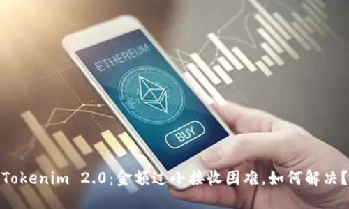 Tokenim 2.0：金额过小接收困难，如何解决？