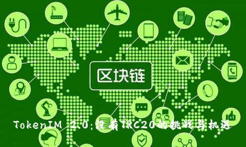 TokenIM 2.0：没有TRC20的挑战与机遇
