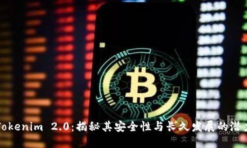 Tokenim 2.0：揭秘其安全性与长久发展的潜力