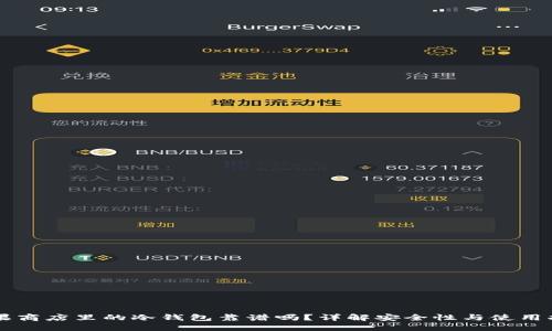 苹果商店里的冷钱包靠谱吗？详解安全性与使用指南