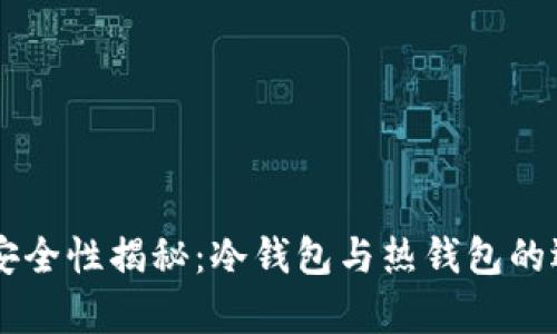 币安的安全性揭秘：冷钱包与热钱包的选择分析