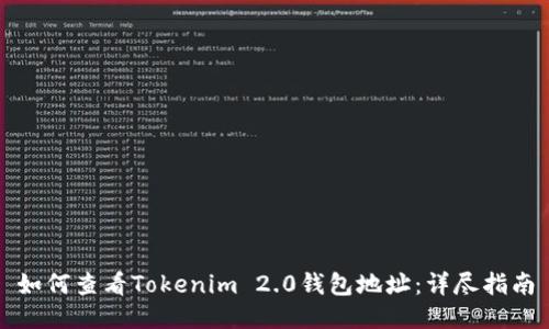 如何查看Tokenim 2.0钱包地址：详尽指南