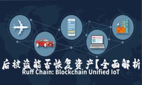 冷钱包授权后被盗能否恢复资产？全面解析与应对措施