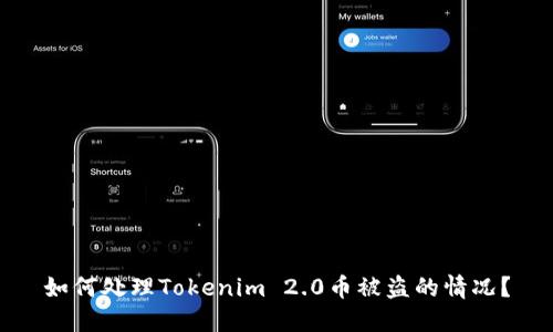 如何处理Tokenim 2.0币被盗的情况？