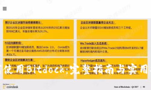 如何使用Bitdock：完整指南与实用技巧
