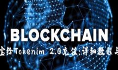 如何使用支付宝给Tokenim 2.0充值：详细教程与常见