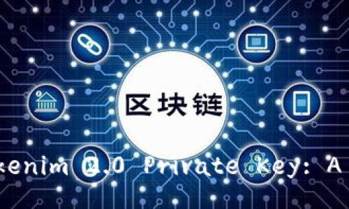 How to Find Your Tokenim 2.0 Private Key: A Comprehensive Guide