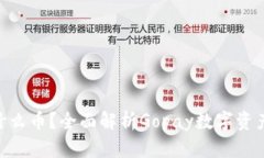 Gopay钱包是什么币？全面解析Gopay数字资产的应用