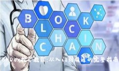 BHDex挖矿教程：从入门到精通的完整指南