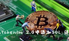 如何在Tokenim 2.0中添加SOL：详细指南