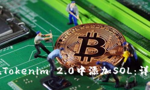 如何在Tokenim 2.0中添加SOL：详细指南