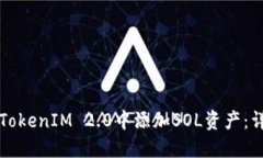 如何在TokenIM 2.0中添加SOL资产：详细指南