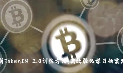 全面解析TokenIM 2.0训练方法：高效强化学习的实践与应用