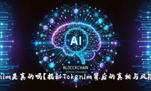 Tokenim是真的吗？揭秘Tokenim背后的真相与风险分析