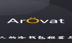 适合中国人的冷钱包推荐与使用指南