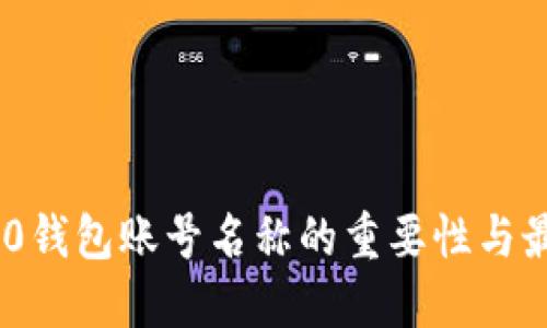 Tokenim 2.0钱包账号名称的重要性与最佳实践指南