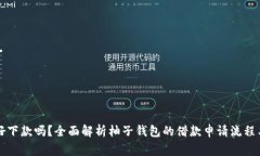 柚子钱包好下款吗？全面解析柚子钱包的借款申